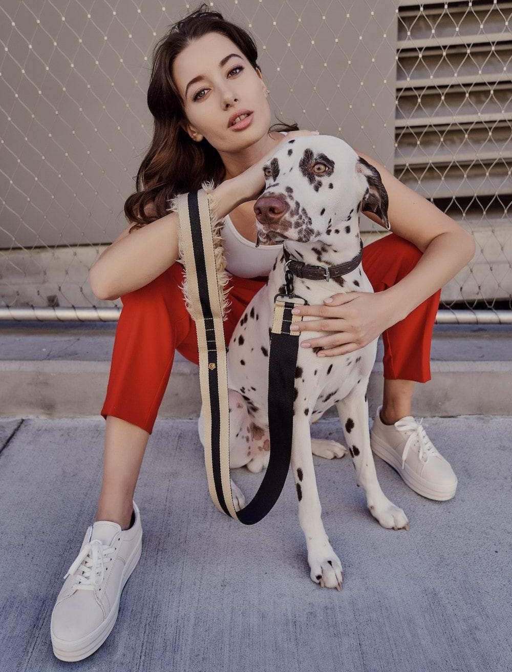 City dog leash fur, detail view
