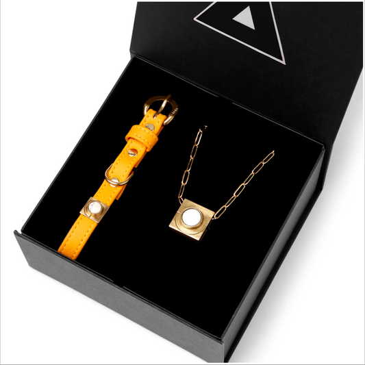 Sunflower Howl matching pet gift set photograph