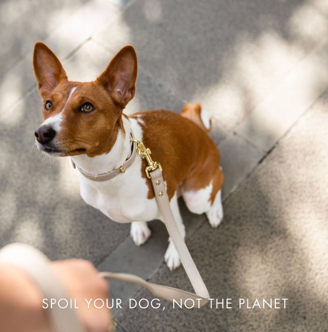 Copenhagen Vegan Leather Dog Collar