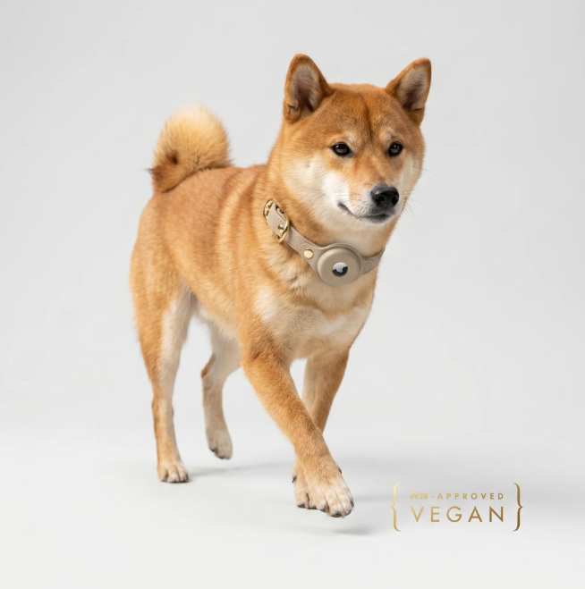 Cupertino AirTag-Compatible Dog Collar