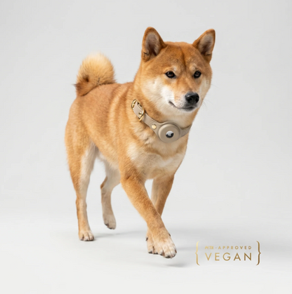 Cupertino AirTag-Compatible Dog Collar