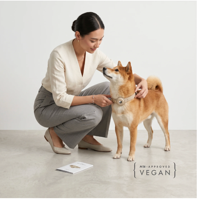 Cupertino AirTag-Compatible Dog Collar