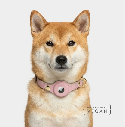 Cupertino AirTag-Compatible Dog Collar