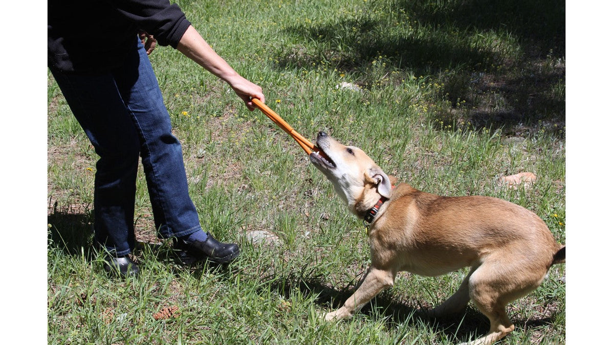Orange Pop Top tug toy