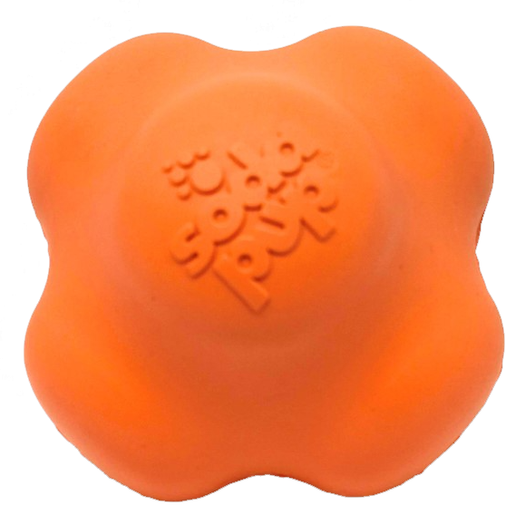 Orange Crazy Bounce rubber dog toy