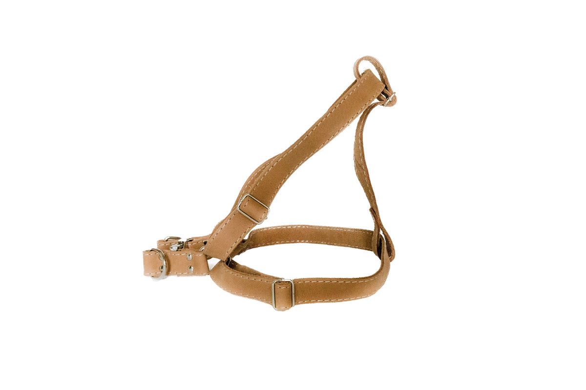 Tan leather step in dog harness
