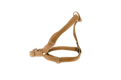 Tan leather step in dog harness