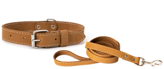 Soft tan leather collar and leash set