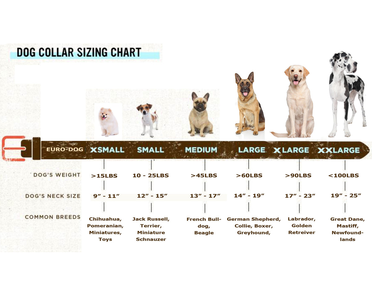 Size chart for leather collar and leash set