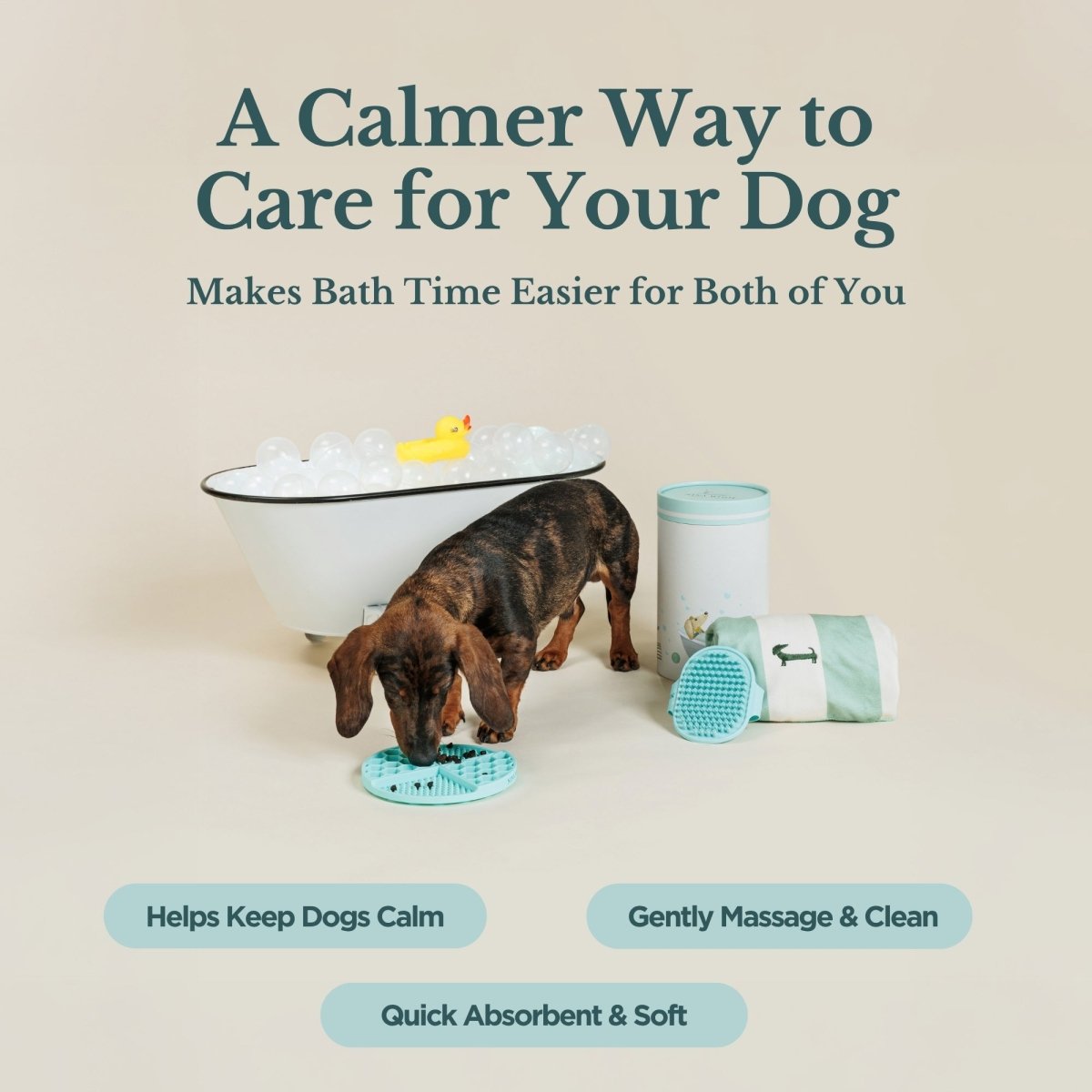 Dog Bath & Grooming Kit, lifestyle view