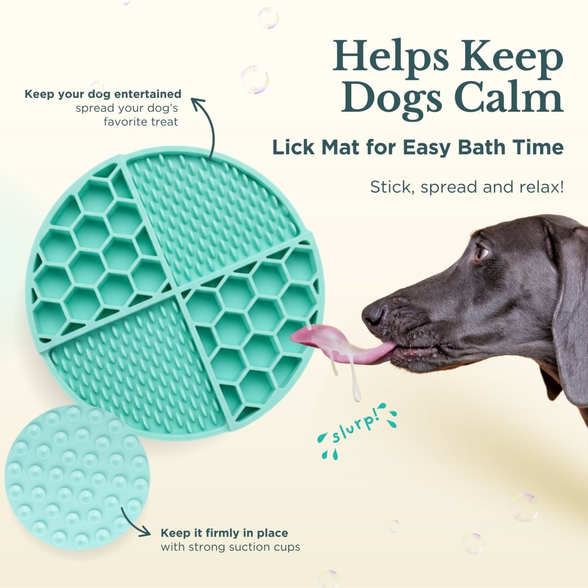 Dog Bath & Grooming Kit, lifestyle view