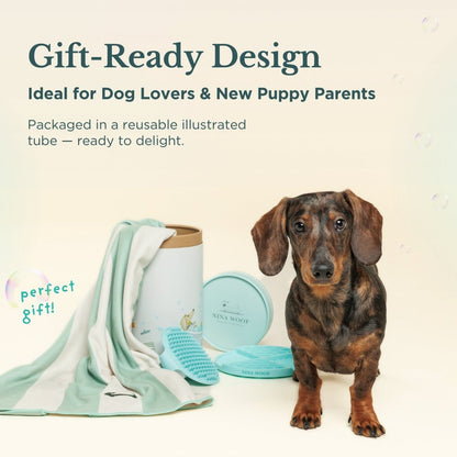 Dog Bath & Grooming Kit, lifestyle view