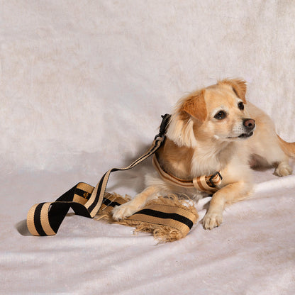 City dog leash fur in Rue Cambon, lifestyle view