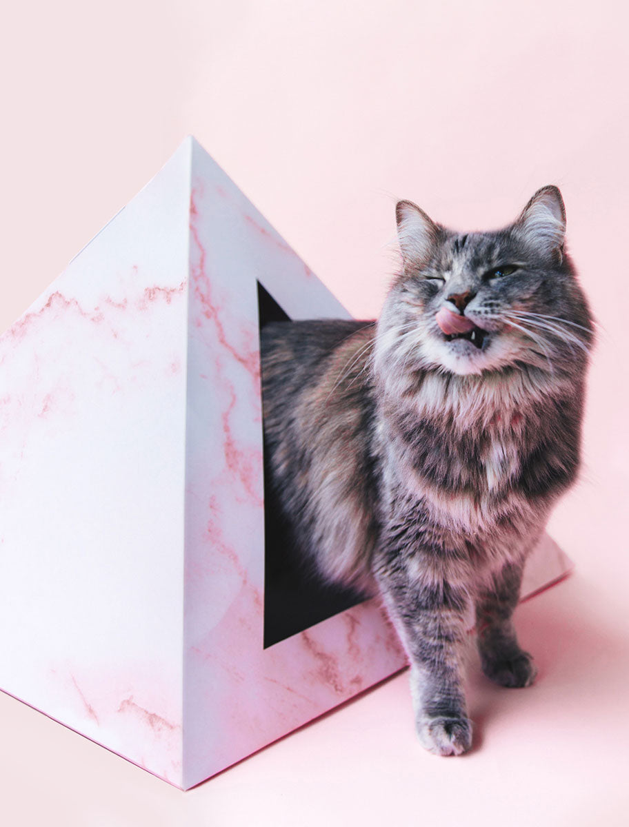 Rose Quartz cardboard cat pyramid, pink print