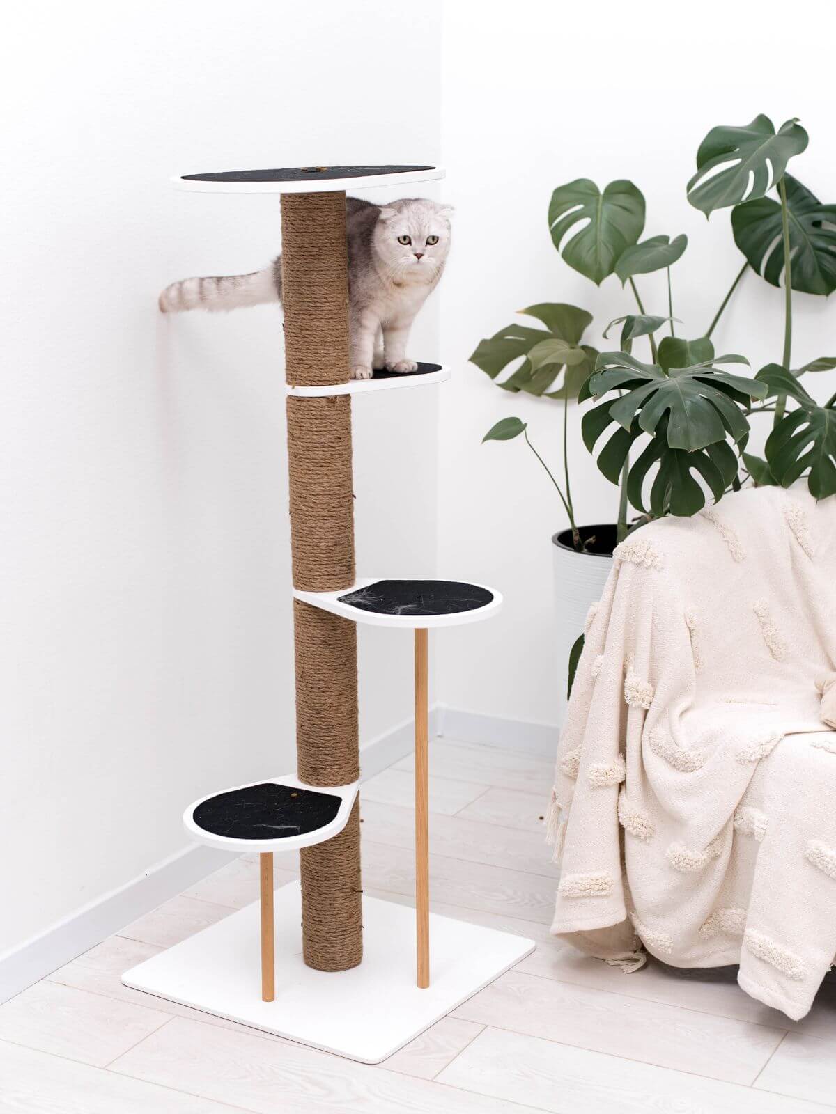 Cat climbing tower second detail view