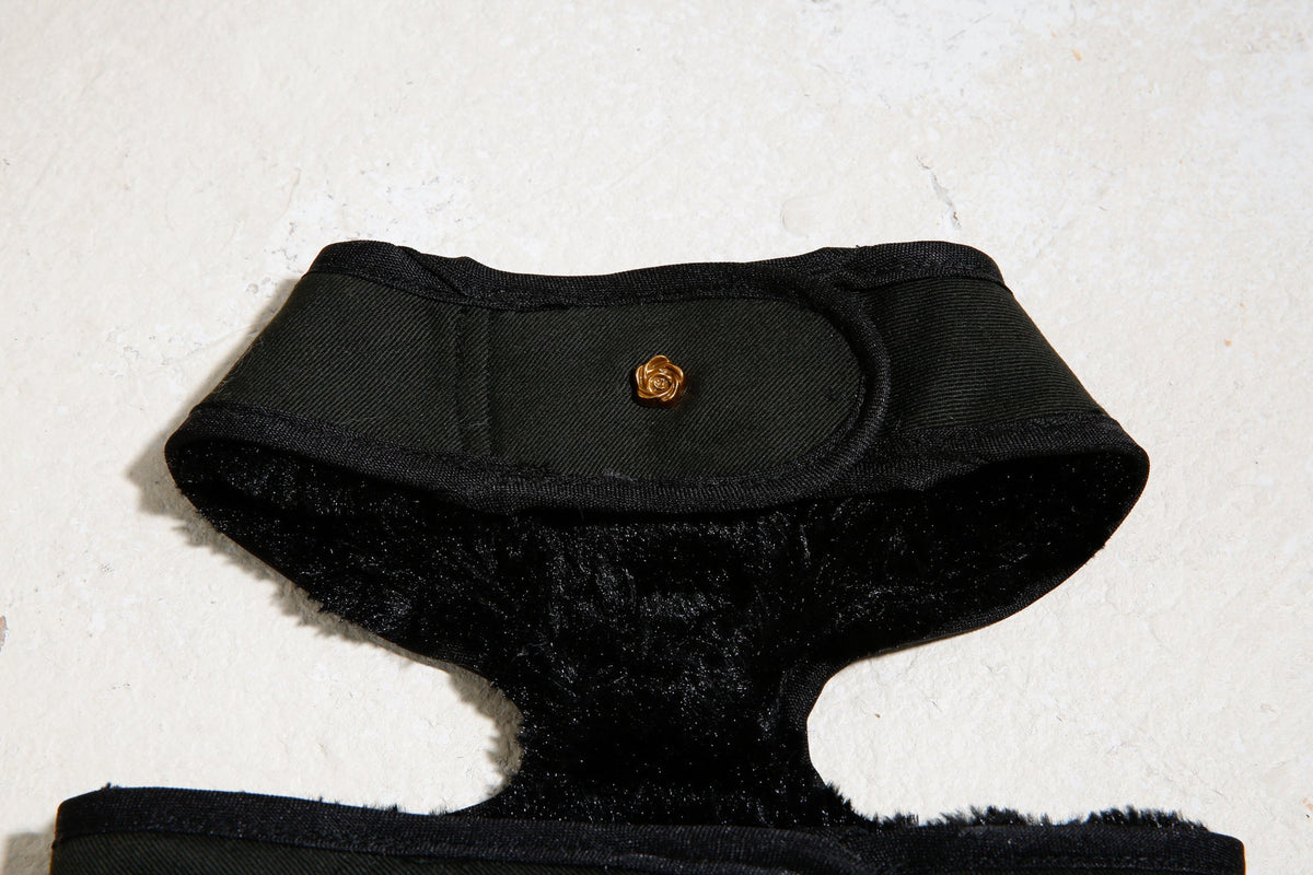 City dog harness fur, fourth view