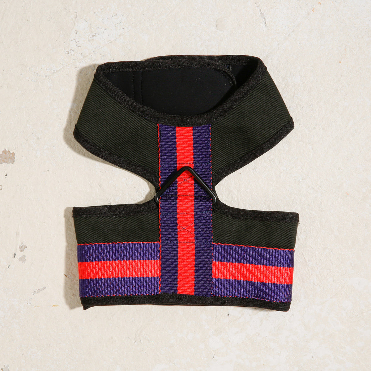 Black dog wearing City harness, red and blue striped straps