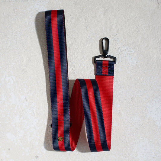 City dog leash padded in Rue St Honore