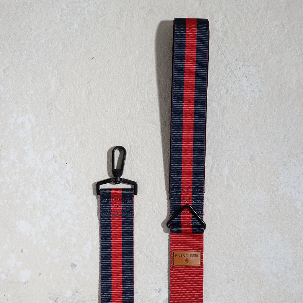 City dog leash padded in Rue St Honore, second view