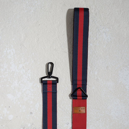 City dog leash padded in Rue St Honore, second view