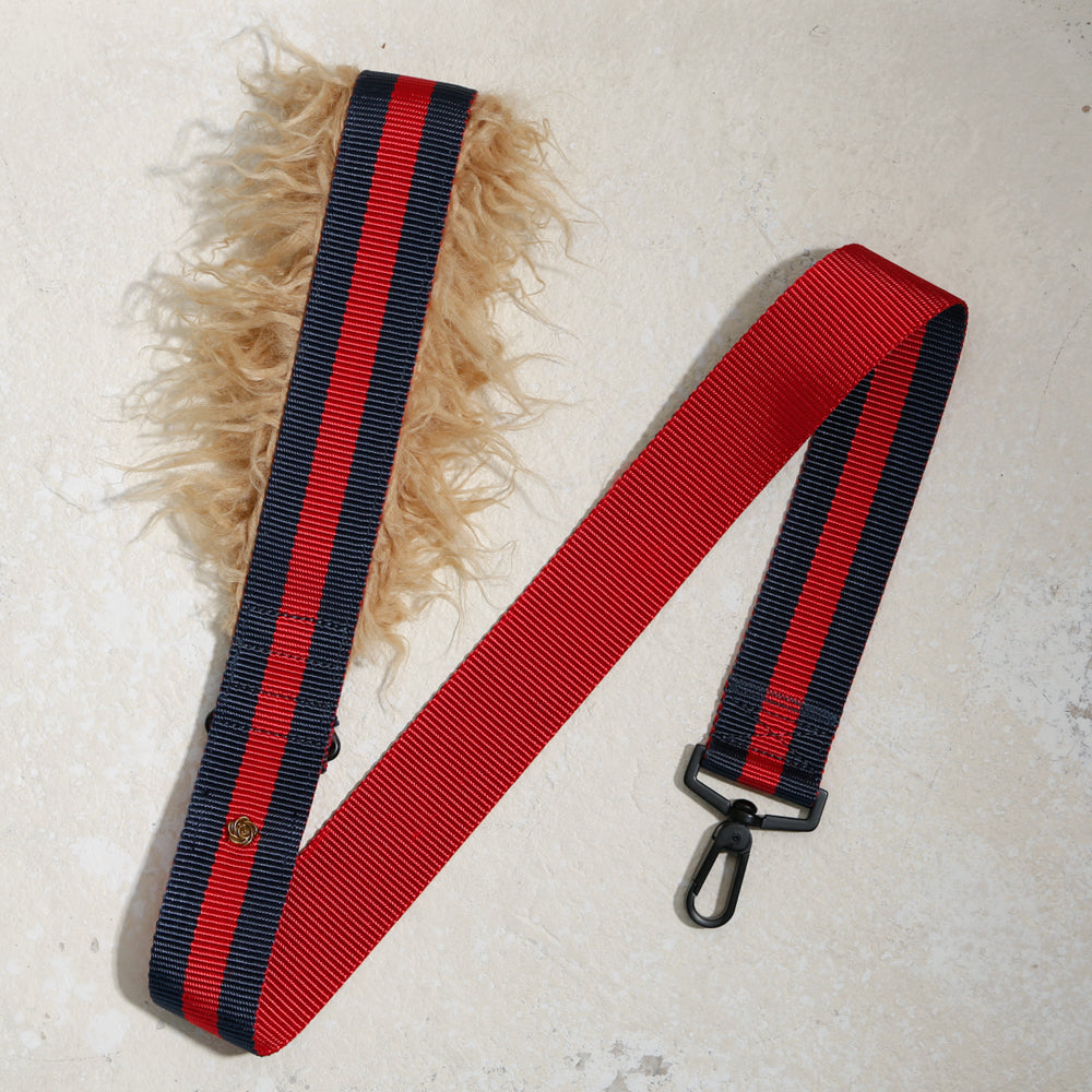 City dog leash fur in Rue St Honore, second view