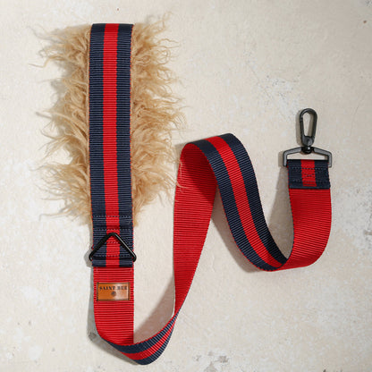 City dog leash fur in Rue St Honore
