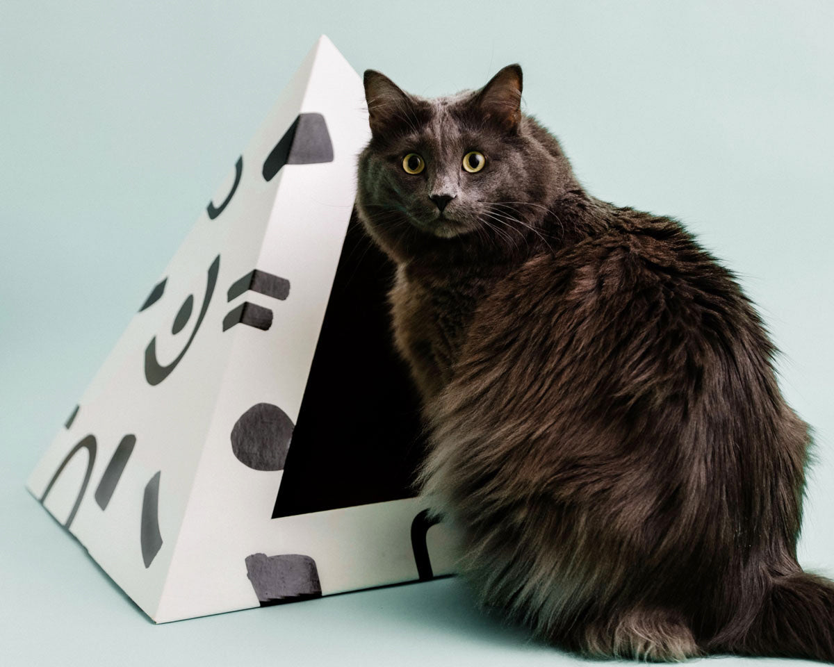 Doodle cardboard cat pyramid, black and white print