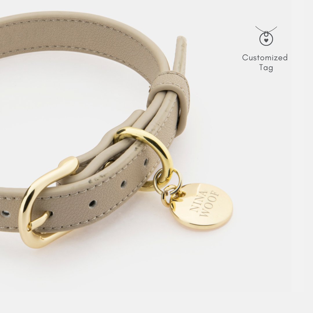 Copenhagen Vegan Leather Dog Collar, lifestyle view