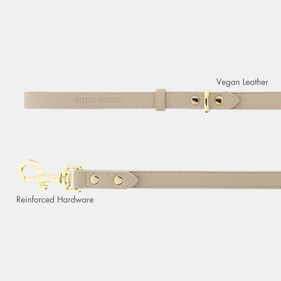 Cupertino 4 ft Vegan Leather Dog Leash, lifestyle view