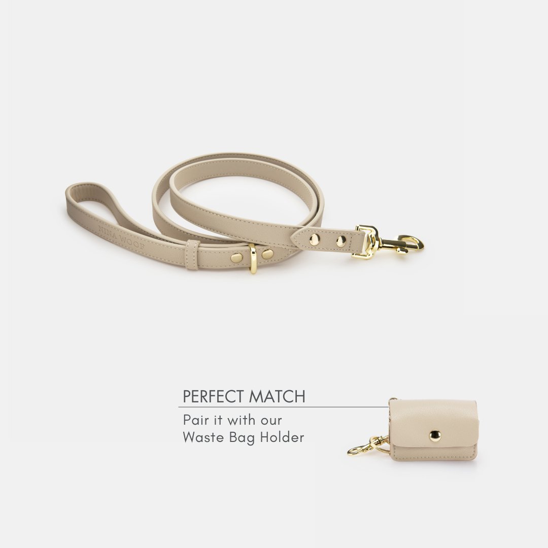 Cupertino 4 ft Vegan Leather Dog Leash, lifestyle view