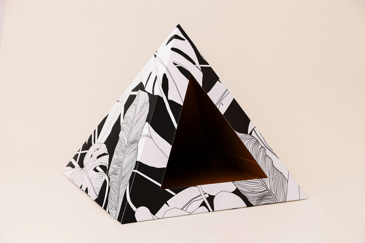 Dark Paradise cardboard cat pyramid, fifth view