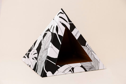 Dark Paradise cardboard cat pyramid, fifth view