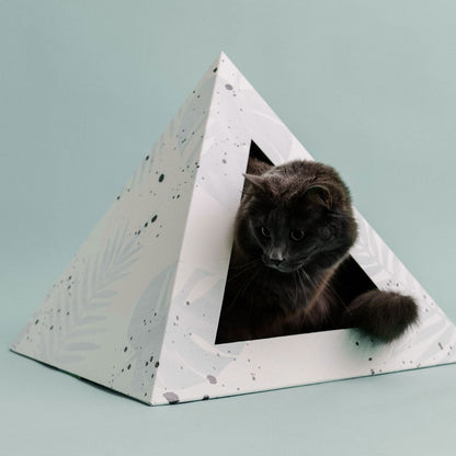 Oasis cardboard cat pyramid, fourth view