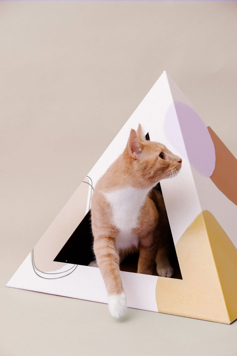 Abstract cardboard cat pyramid, second view