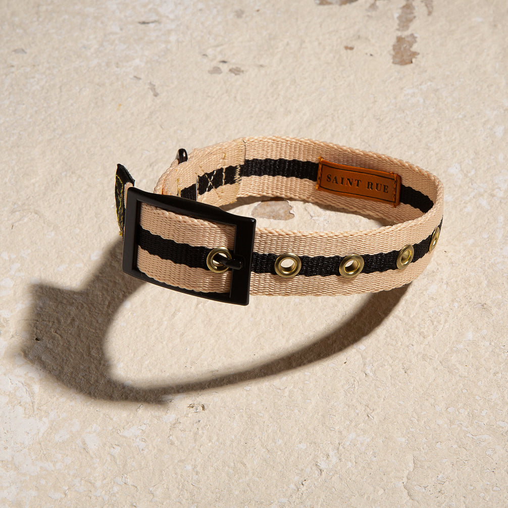 Le Classic dog collar in Rue Cambon No.1