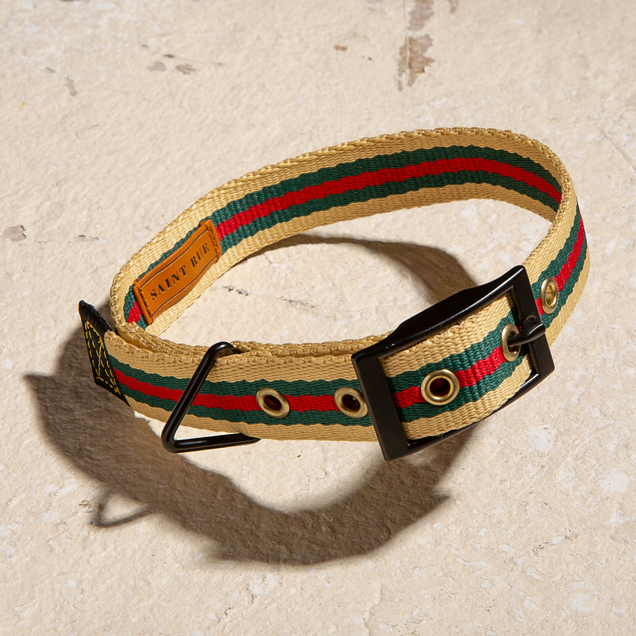Le Classic dog collar in Rue St Jacques