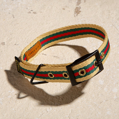 Le Classic dog collar in Rue St Jacques