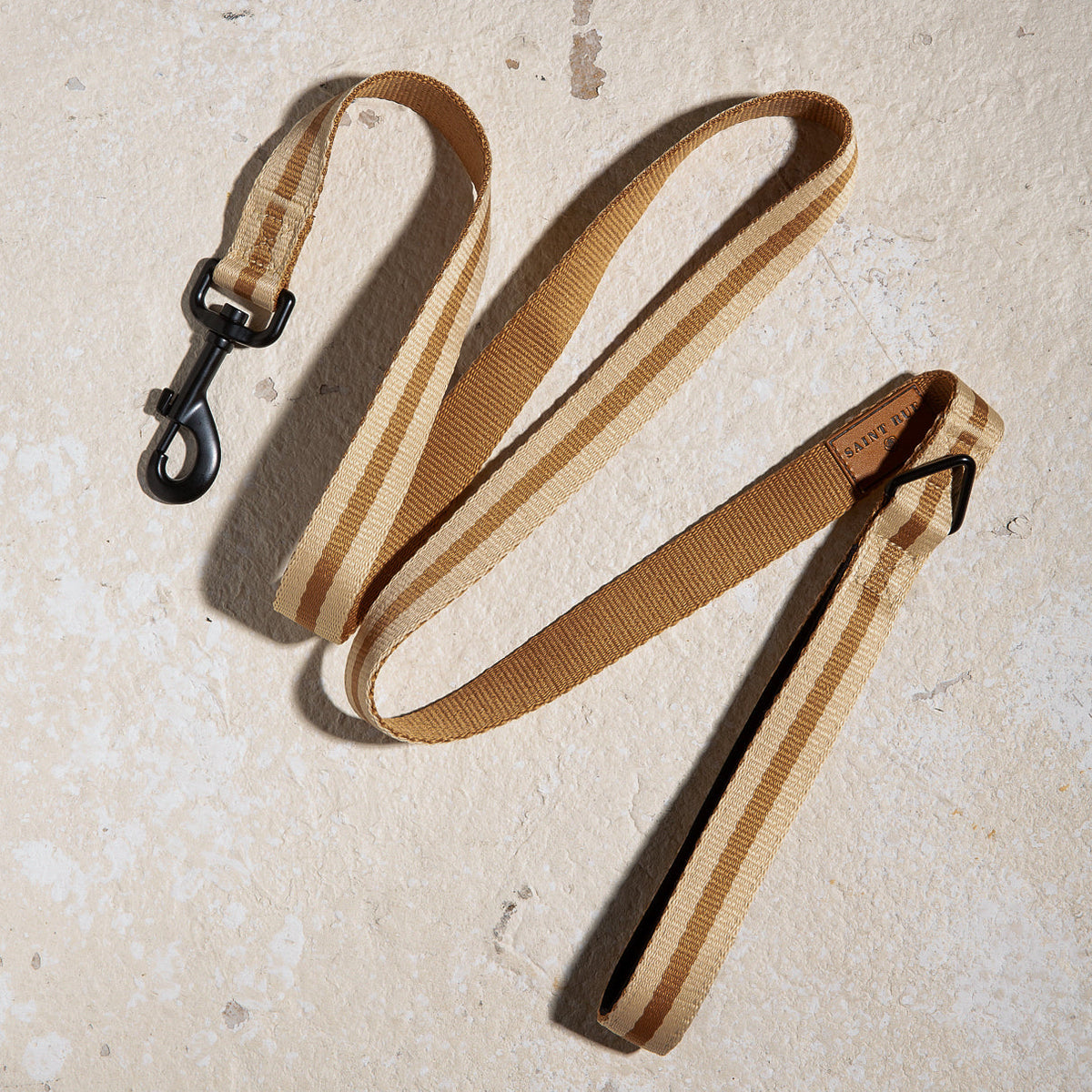 Le Classic dog leash in Rue de Rivoli