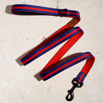 Le Classic dog leash in Rue St Honore