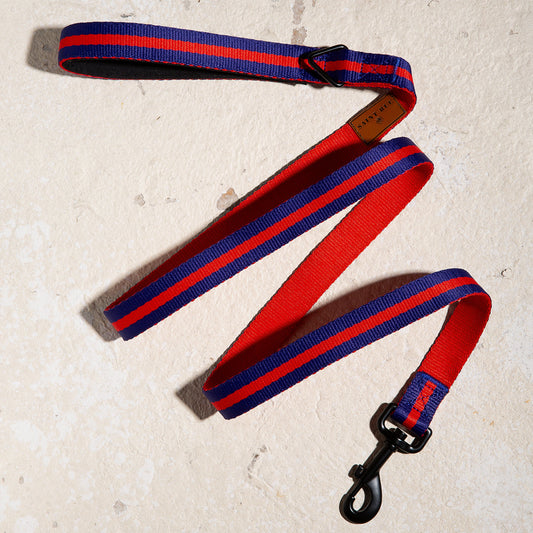 Le Classic dog leash in Rue St Honore