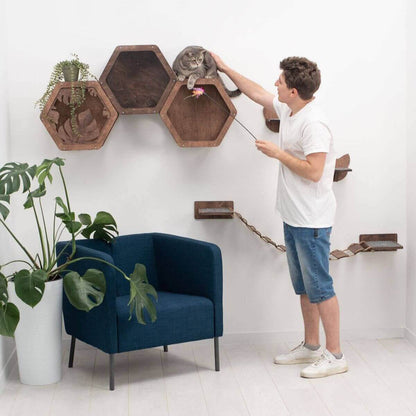 Cat Hexagon Shelf shown as an elevated resting perch