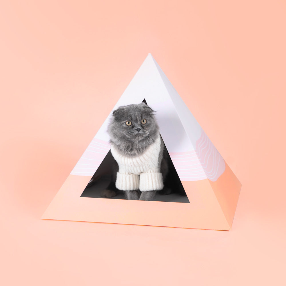 Wavey cardboard cat pyramid, second view