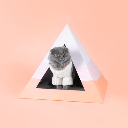 Wavey cardboard cat pyramid, second view