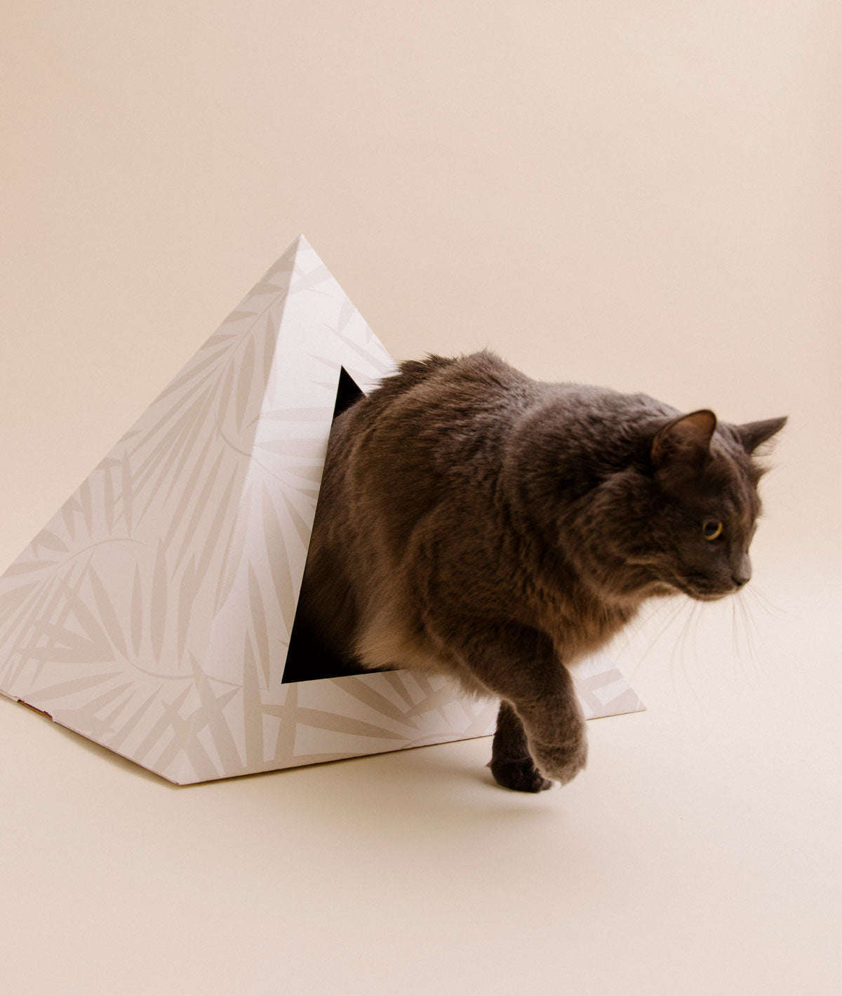 Neutral Palm cardboard cat pyramid, third view