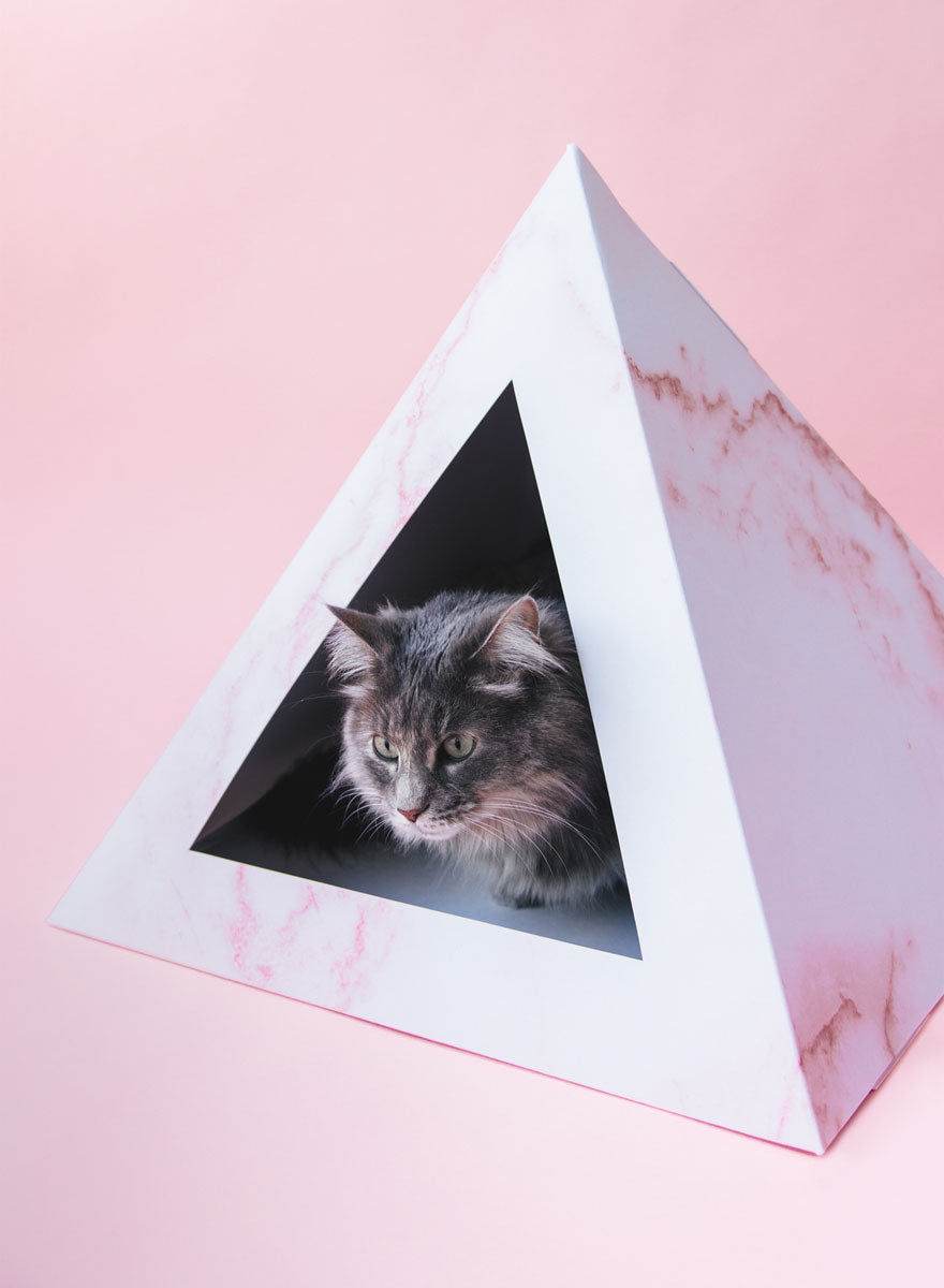 Rose Quartz cardboard cat pyramid, third view