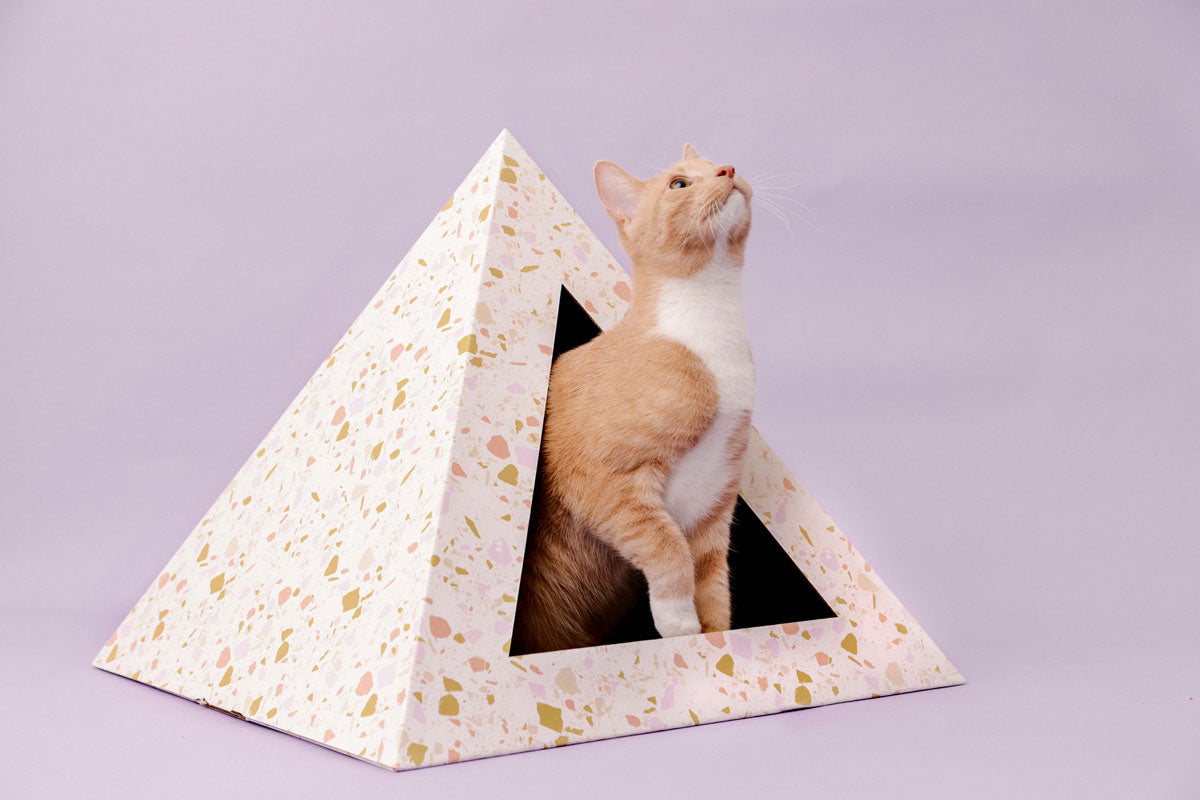 Terrazzo cardboard cat pyramid, second view