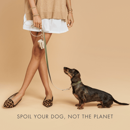 Copenhagen 4 ft Vegan Leather Dog Leash, product view 5
