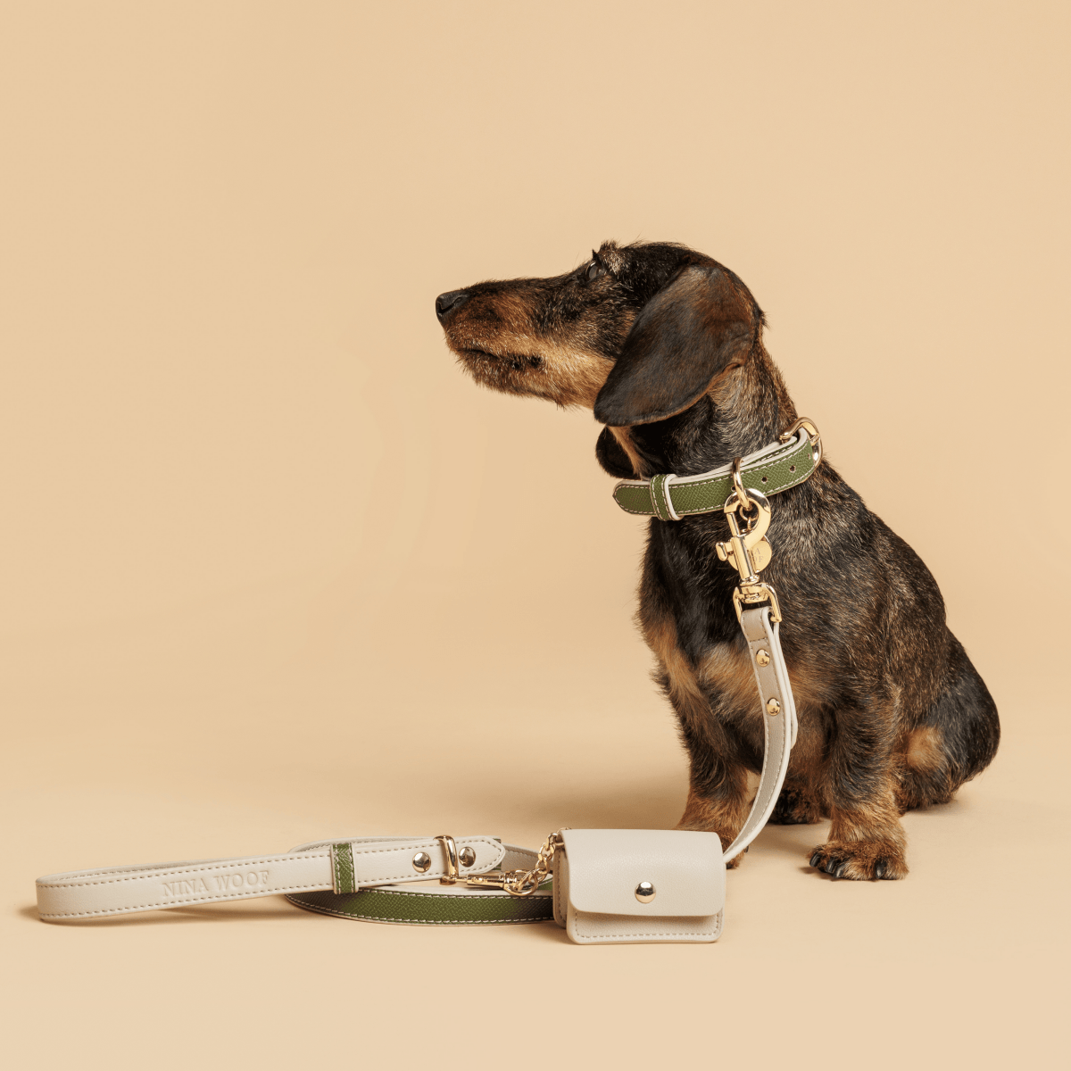 Copenhagen 4 ft Vegan Leather Dog Leash, product view 4