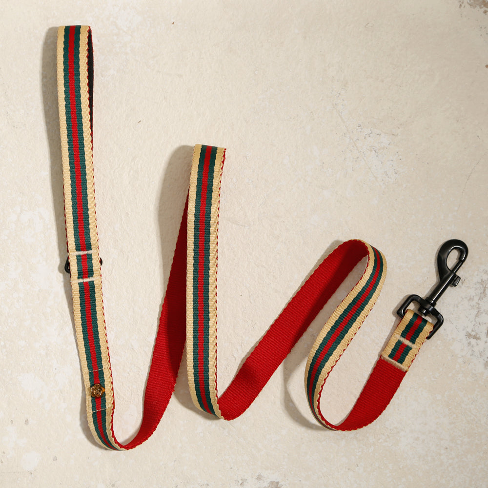Le Classic dog leash in Rue St Jacques