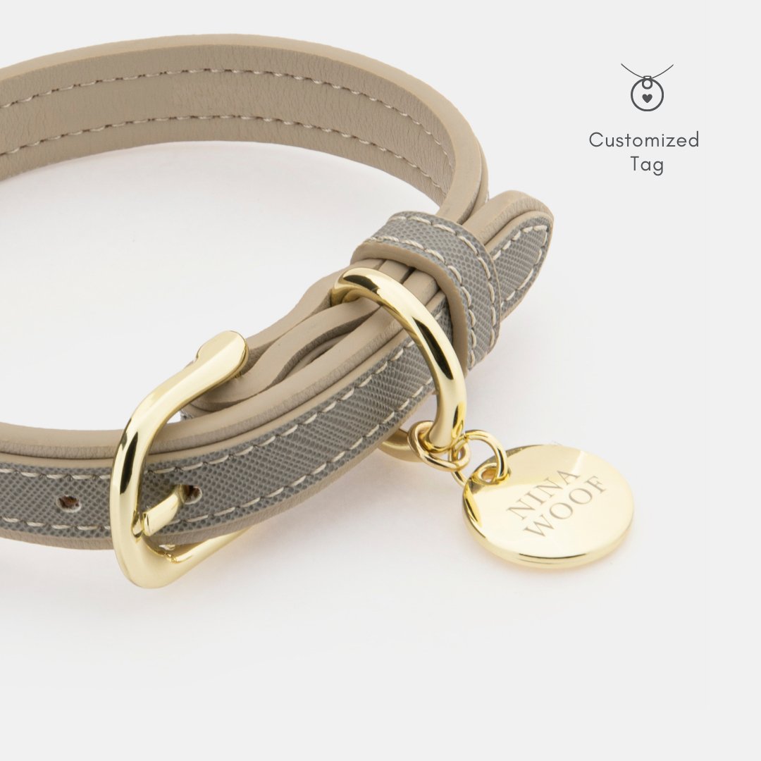 London Vegan Leather Dog Collar, lifestyle view